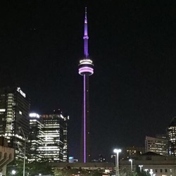 CN Tower lit purple CN Tower lit up purple for WLAD